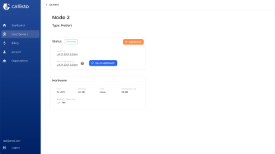 Callisto Server Status